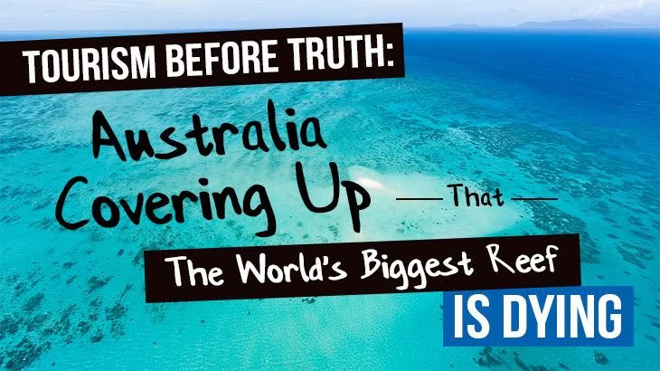 Tourism Before Truth: Australia Covering Up That The World’s Biggest Reef Is Dying