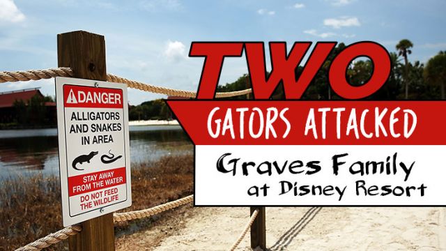 2gatorsattacked_730x410