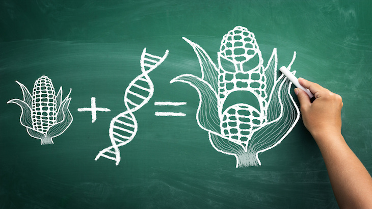 GMO Campaigners: This Is What You’ve Been Waiting For … Or Is It?