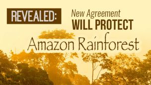 Revealed: New Agreement Will Protect Amazon Rainforest