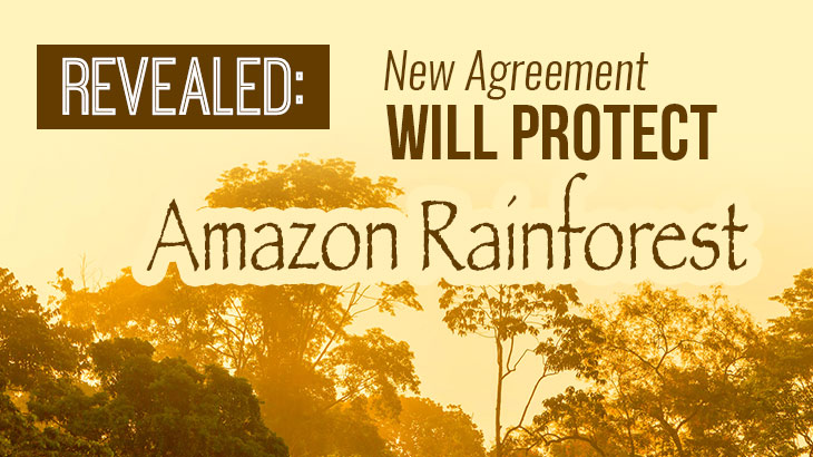 Revealed:  New Agreement Will Protect Amazon Rainforest