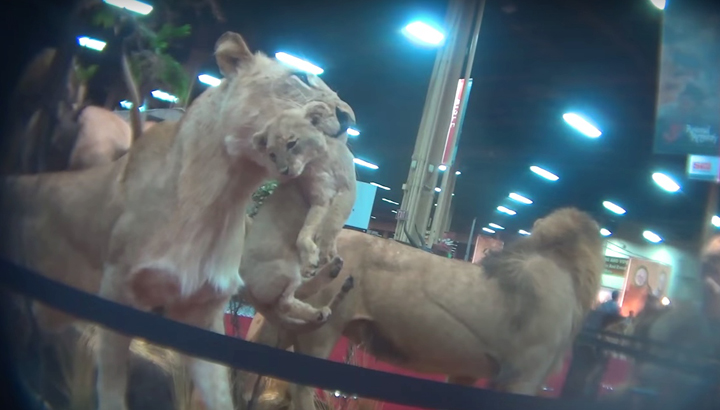 Hidden Camera At Trophy Hunting Convention Confirms What Many Suspected