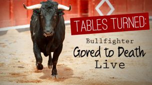Tables Turned: Bullfighter Gored to Death Live