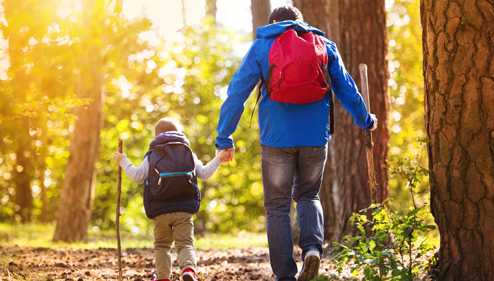 6 Ideas For A Family-Friendly Hike