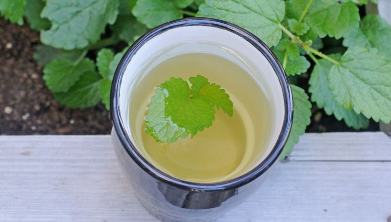 Can’t Sleep? Try This Lemon Balm Tea