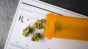 Can Marijuana Prevent Alzheimer’s?