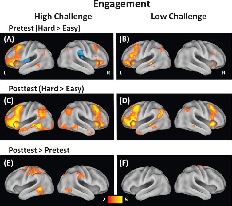 rnn-33-6-rnn150533-g001