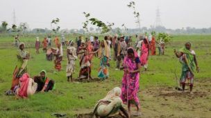 Tree Planting Record: Indians Attempt To Plant 50 Million In One Day