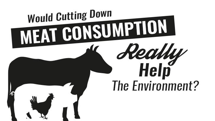 Would Cutting Down Meat Consumption Really Help The Environment?