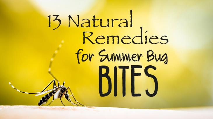 13 Natural Remedies for Summer Bug Bites