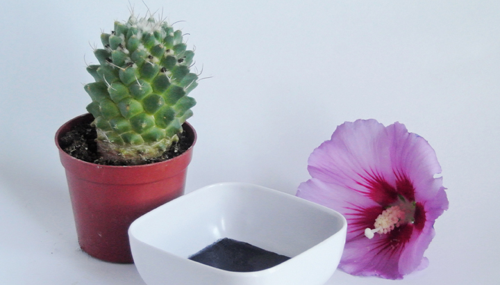 Say Bye-Bye To Blackheads With This Activated Charcoal Mask