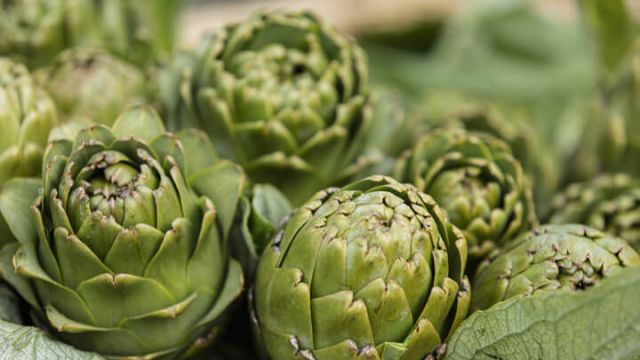 artichokes-garden