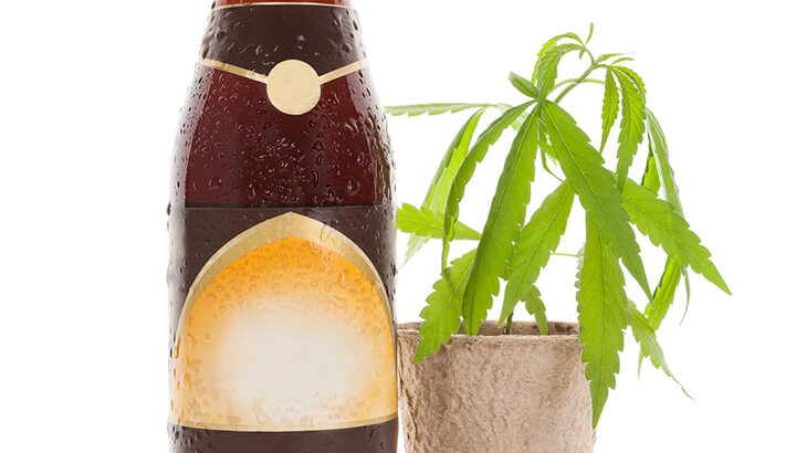 Mixing Hemp And Beer (Good Or Bad?)