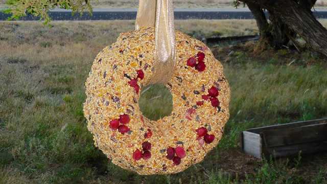 Birdseed Wreath Feature Photo