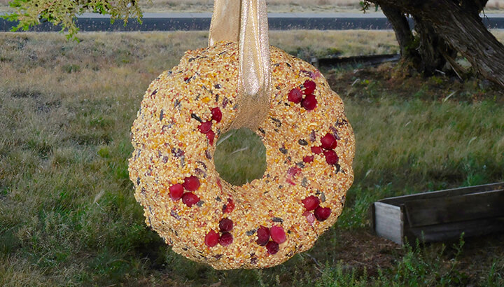 Make The Birds Happy With This Birdseed Wreath