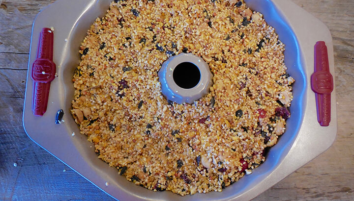 Birdseed Wreath Photo 7