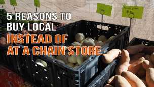 WATCH: 5 Reasons To Buy Local Instead Of At A Chain Store