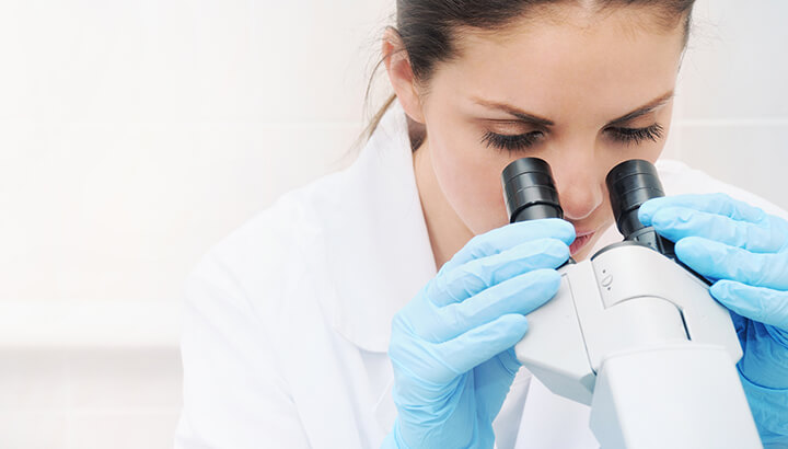 Cabbage Fights Cancer