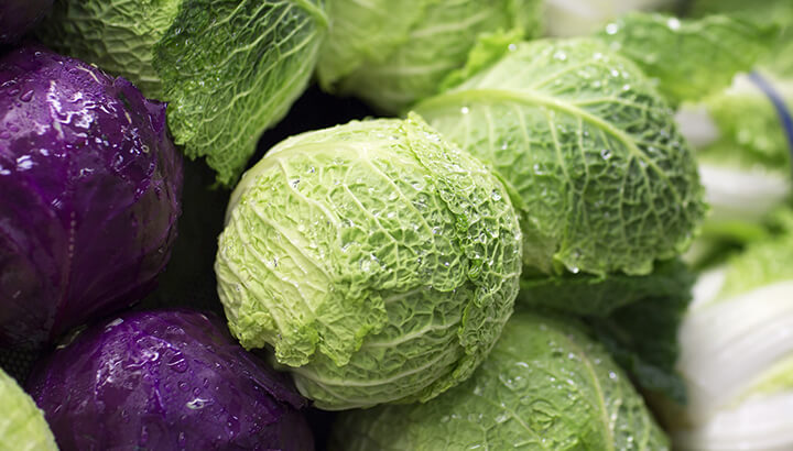 Cabbage Vs. Chemo For Cancer?