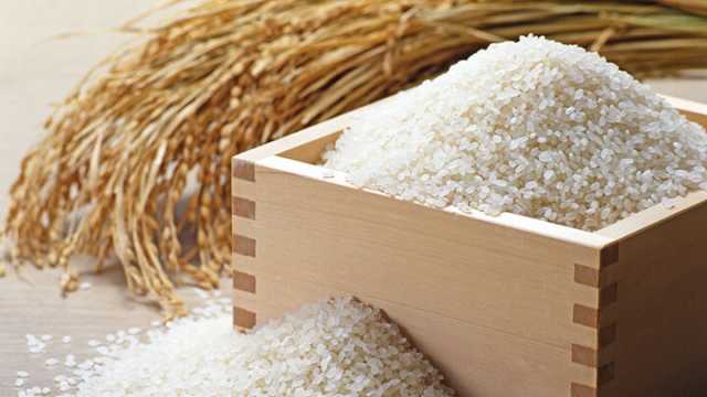 Chinese Foods White Rice