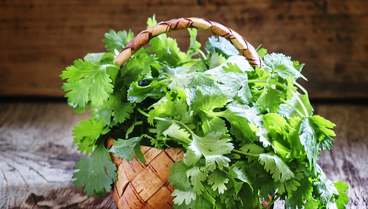 What Is Coriander And Why Should I Eat It?
