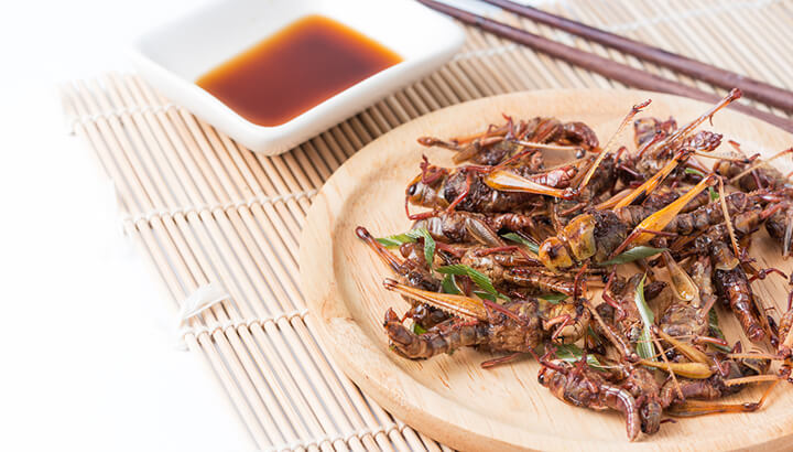 Could Bugs Replace Beef And Fish?