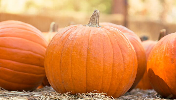 11 Reasons To Eat More Pumpkin And How To Do It