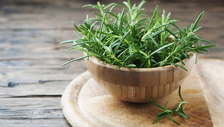 Research Says Rosemary Prevents Brain Aging