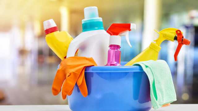 Toxic Chemicals In The Home 1