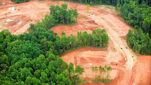 Environmental Concerns include habitat loss