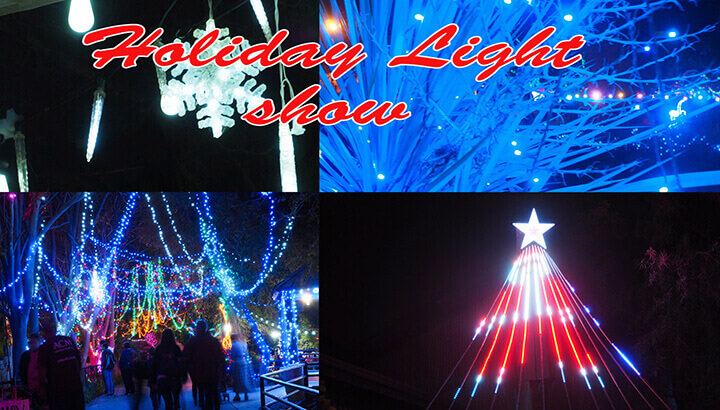 WATCH: Holiday Light Show