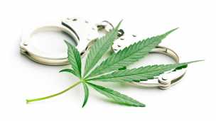 Why It’s Time To End The War On Weed