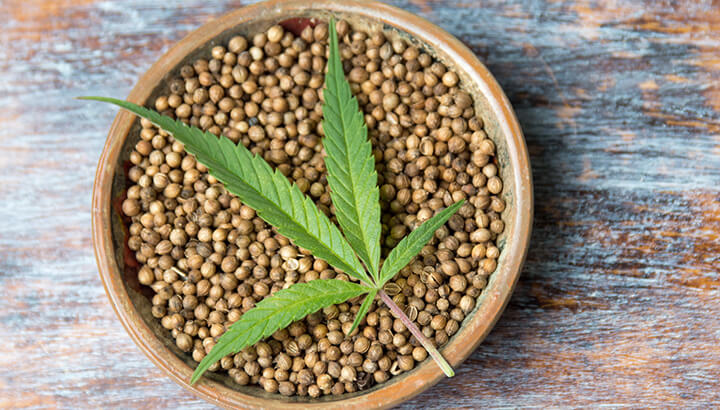 Is Cannabis The Next Superfood?