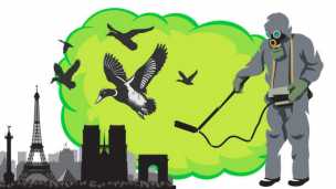 Would You Kill 800,000 Birds For This?