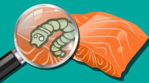 First Cocaine, Now Tapeworms Found In North American Salmon