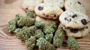 Cannabis Cookies For Kids With Autism?