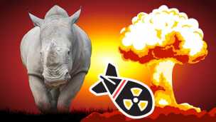 Is The Illegal Rhino Horn Trade Funding North Korea’s Nuclear Arms?