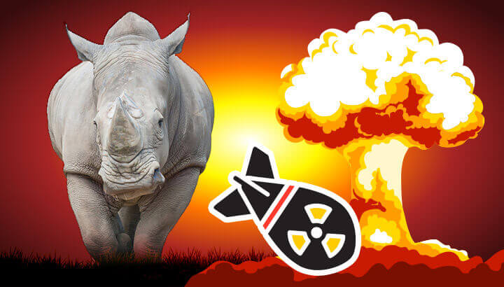 Is The Illegal Rhino Horn Trade Funding North Korea’s Nuclear Arms?