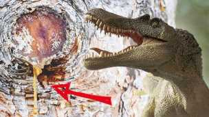 Can Dinosaurs Make A Comeback? Science Says Yes