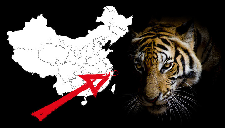 Tiger Killed To Save Man At Chinese Zoo, Sparks Online Outrage