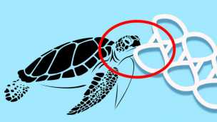 Brewery Designs Edible Six-Pack Rings To Protect Marine Life