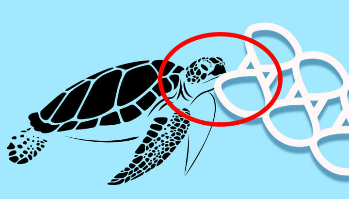 Brewery Designs Edible Six-Pack Rings To Protect Marine Life