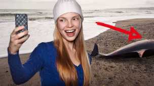 How To Avoid Killing Animals With Your Selfies