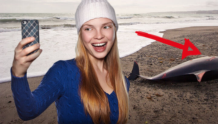 How To Avoid Killing Animals With Your Selfies