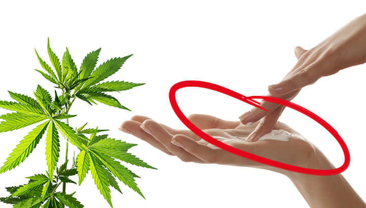 Would You Try Cannabis Lubricant For New Sensations During Sex?