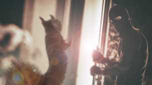 You’ll Never Believe How This Pet Squirrel Stopped A Burglary