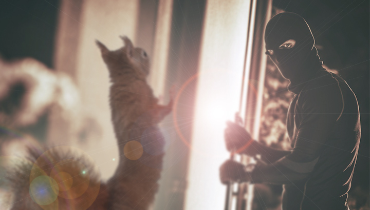 You’ll Never Believe How This Pet Squirrel Stopped A Burglary