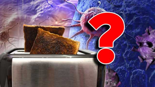 Burnt toast contains acrylamide, which is linked to cancer and cell damage