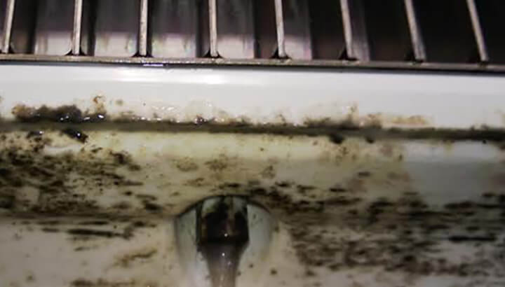 Ice "slime" may be more common than you think in dining establishments. (Photo Courtesy: Biozone Scientific International)