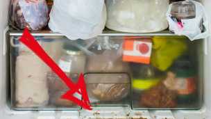 Your Fridge Could Be The Dirtiest Place In Your Kitchen — Here’s Why